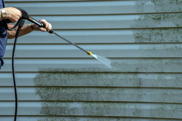 Best Local Pressure Washing Services  in Sanford, CO